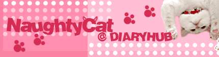 naughtycatbanner.gif